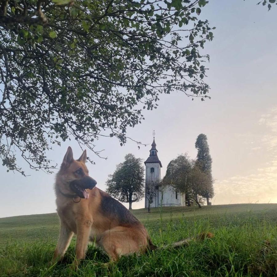 Apartmaji Pr Smolet Skofja Loka Luaran gambar